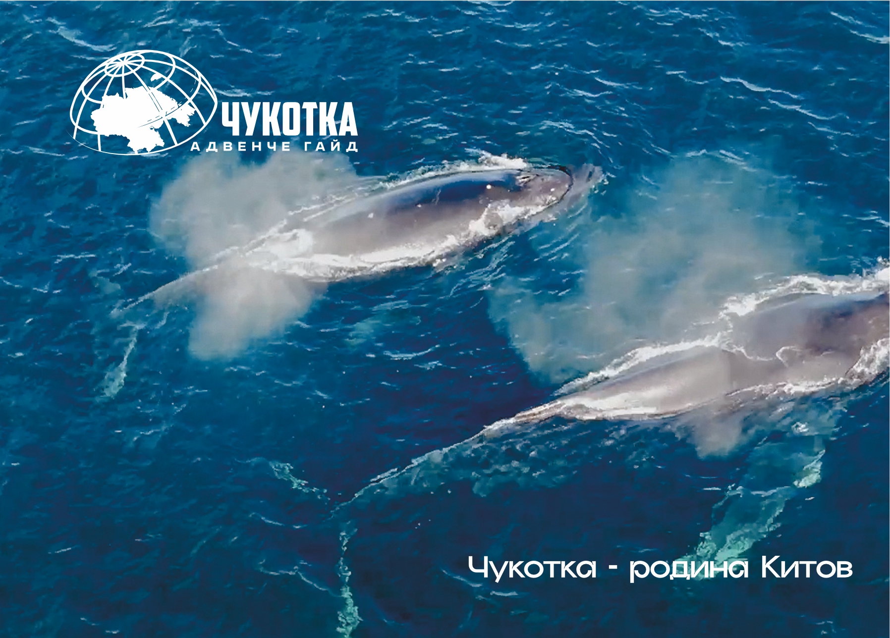 Чукотка семейный тур
